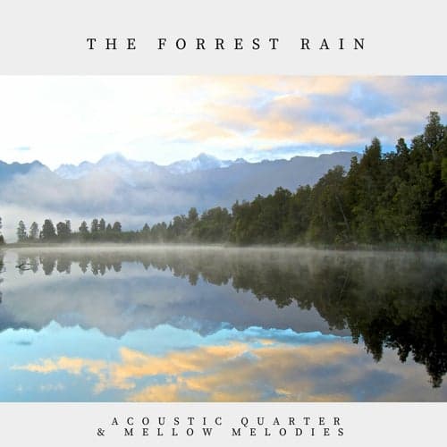 The Forrest Rain