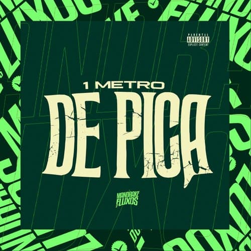 1 Metro de Pica