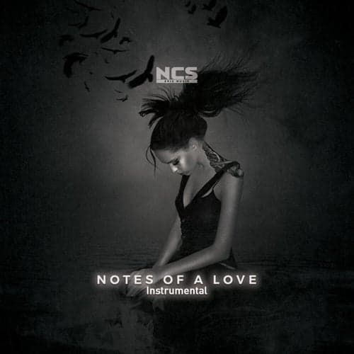 Notes of a Love