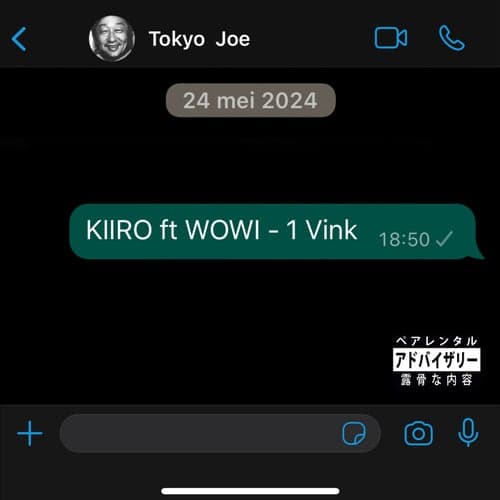 1 Vink (feat. Wowi)