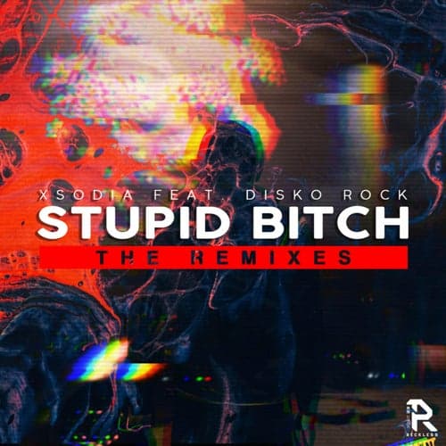 Stupid Bitch (Remixes)