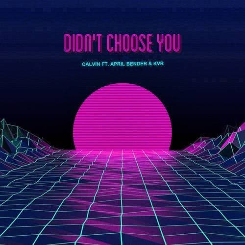 Didn't Choose You
