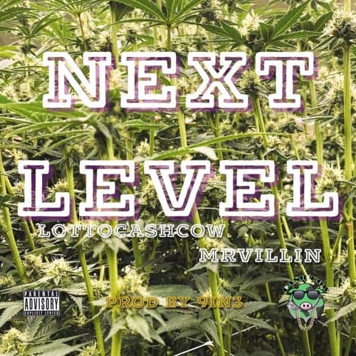 Next Level (feat. MRVILLIN)