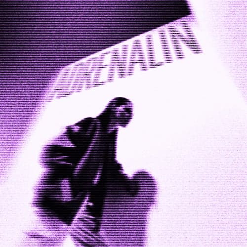 Adrenalin (Remix)