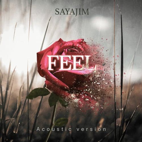 Feel (Acoustic Version)