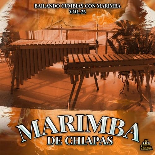 Bailando Cumbias Con Marimba Vol. 25