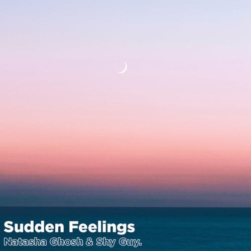 Sudden Feelings