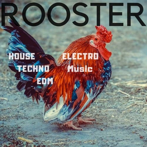 Rooster House Techno Edm Electro Music