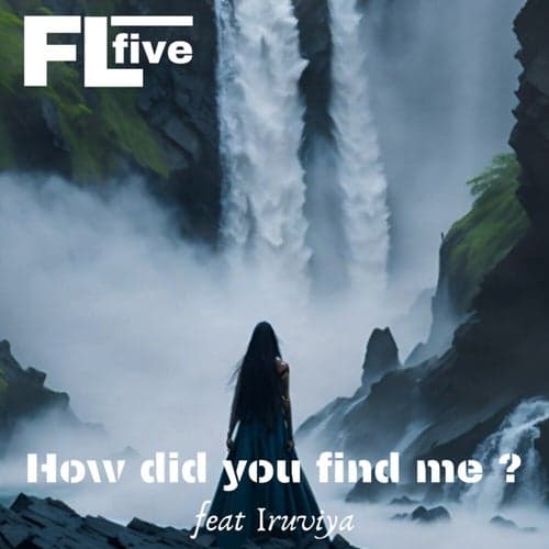 How Did You Find Me?