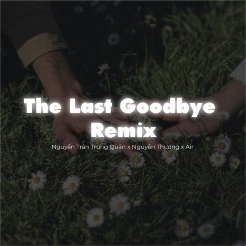 The Last Goodbye Remix