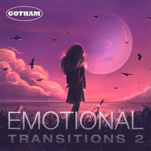 Emotional Transitions 2