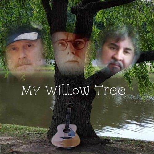 My Willow Tree