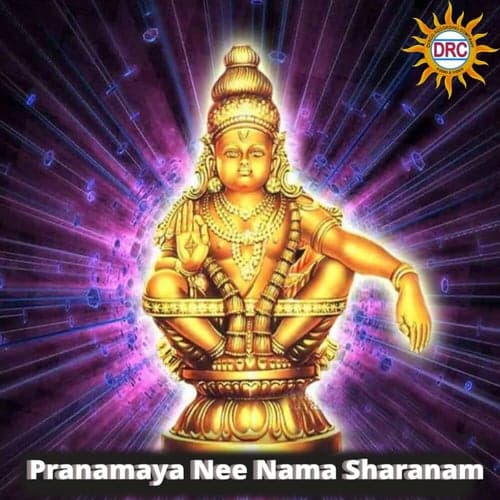 Pranamaya Nee Nama Sharanam
