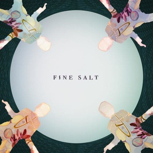 Fine Salt