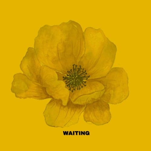 Waiting (feat. Silvana)