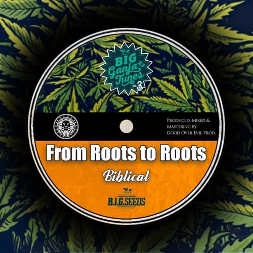 From Roots to Roots
