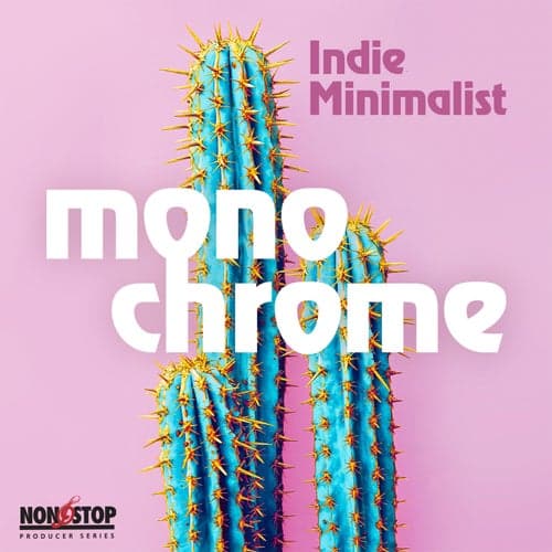 Monochrome: Indie Minimalist