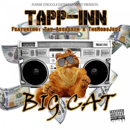 Big Cat (feat. Tay Assassin & TheMobsJedi)