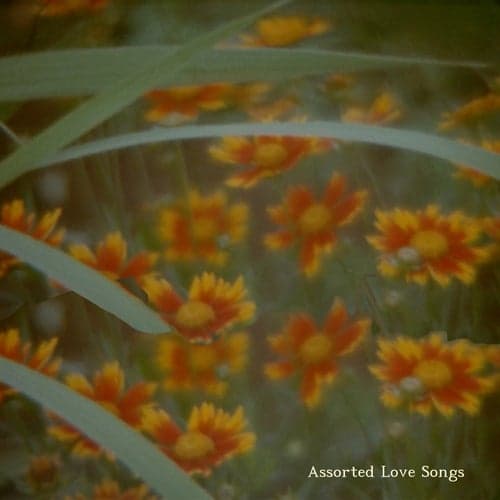 Assorted Love Songs