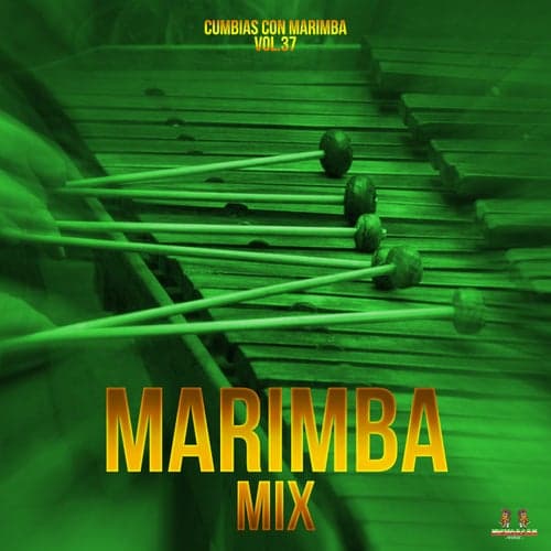 Cumbias Con Marimba Vol. 37