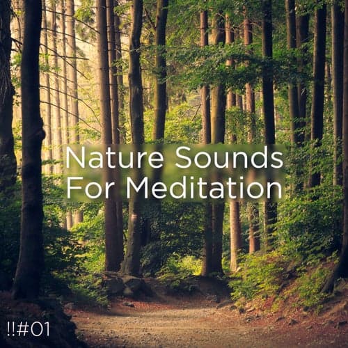 !!#01 Nature Sounds For Meditation