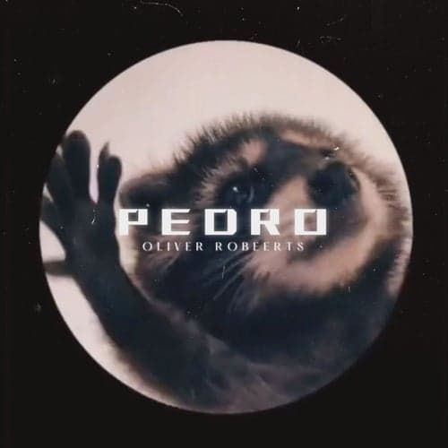 Pedro Pedro Pedro
