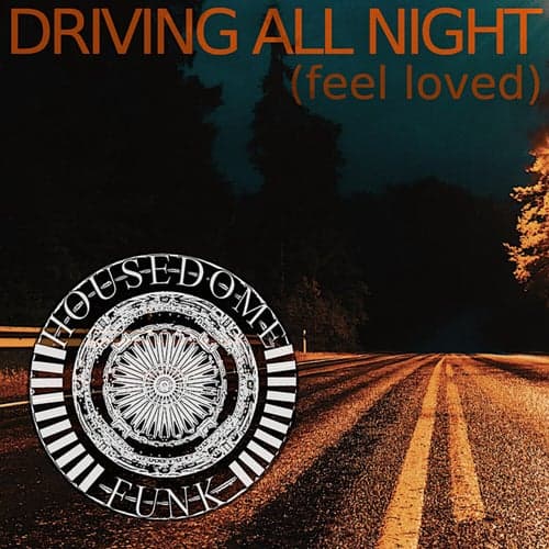 DRIVING ALL NIGHT (feel loved)