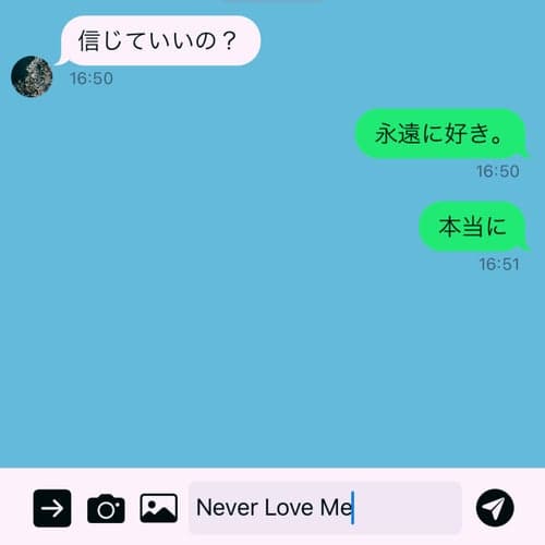 Never Love Me
