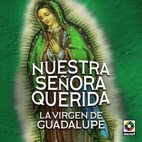 Nuestra Señora Querida La Virgen De Guadalupe