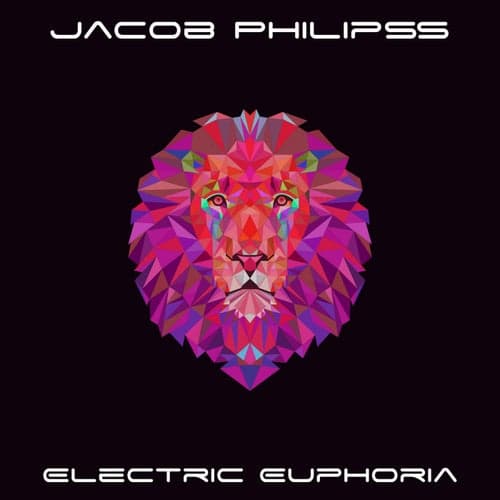 Electric Euphoria