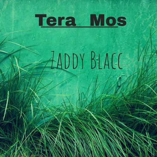 Tera Moss