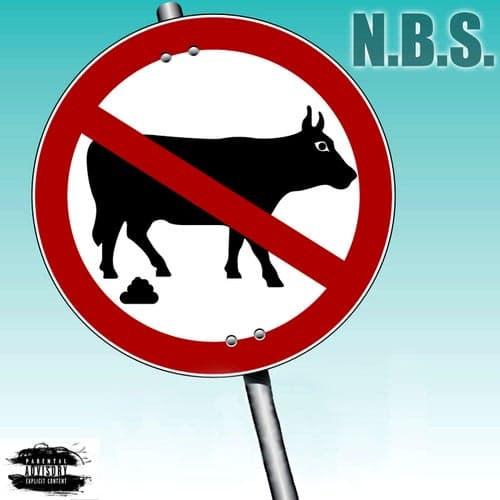 N.B.S. (feat. NoBullshit Shane)