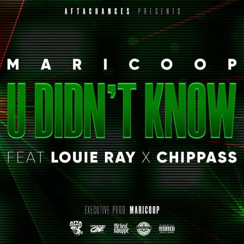 U Didn't Know (feat. Louie Ray & Chippass)