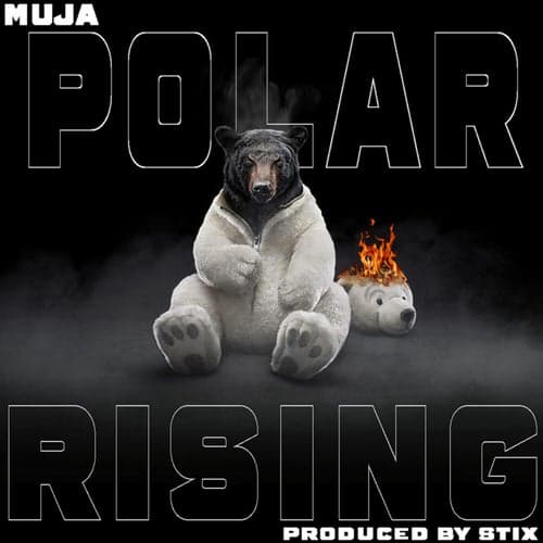 Polar Rising
