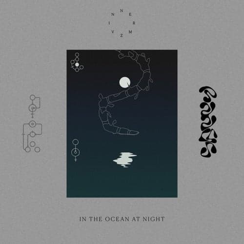 In the Ocean at Night