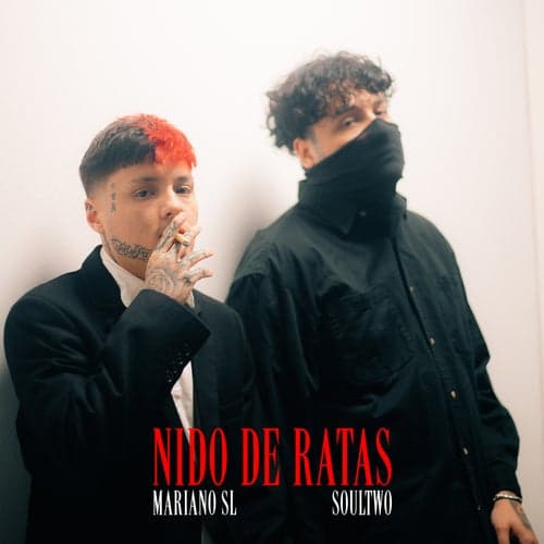 Nido De Ratas