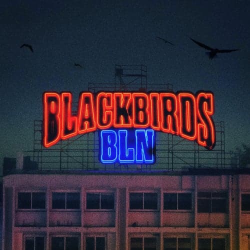 Blackbirds BLN