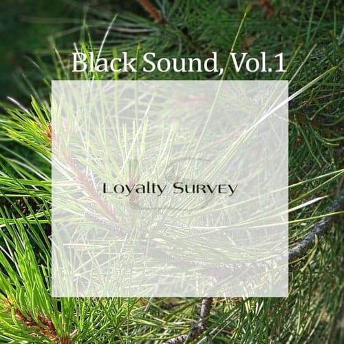 Black Sound, Vol.1