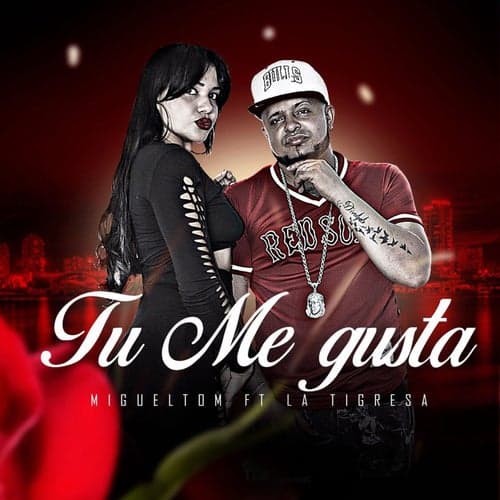 Tu Me Gusta (feat. La Tigresa)