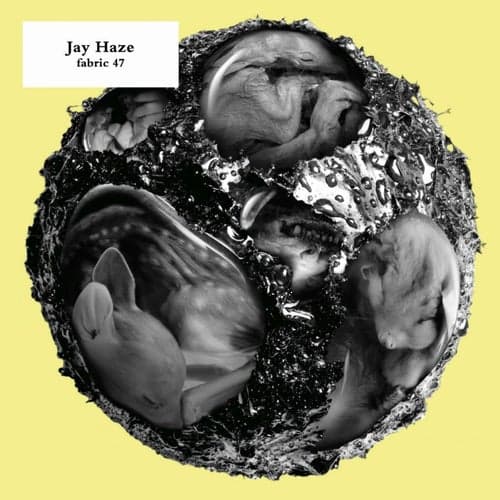 fabric 47: Jay Haze