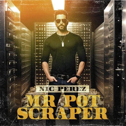 Mr Pot Scraper