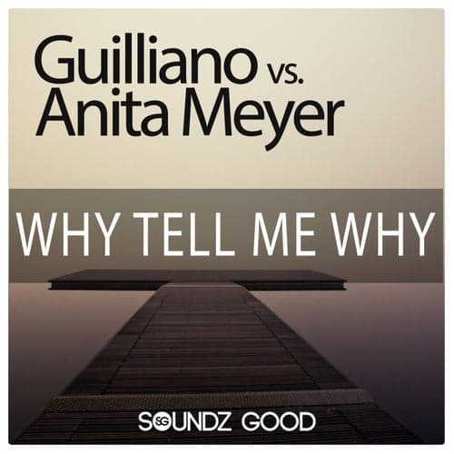 Why Tell Me Why (Guilliano vs. Anita Meyer)