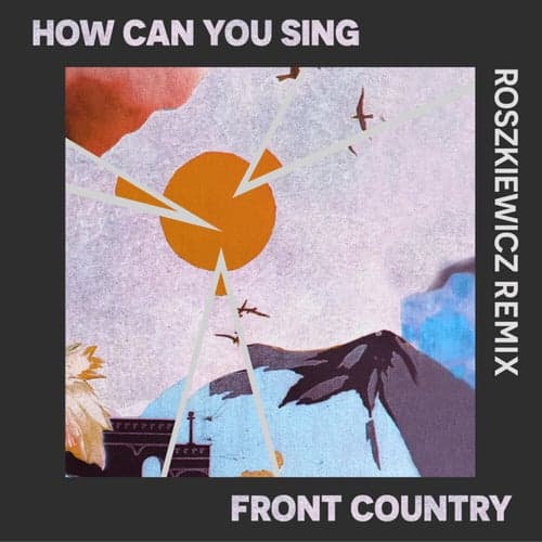 How Can You Sing (ROSZKIEWICZ Remix)