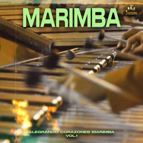 Alegrando Corazones Marimba Vol. 1