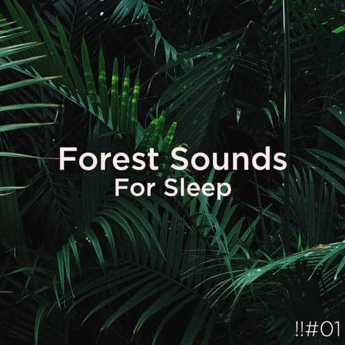 !!#01 Forest Sounds For Sleep