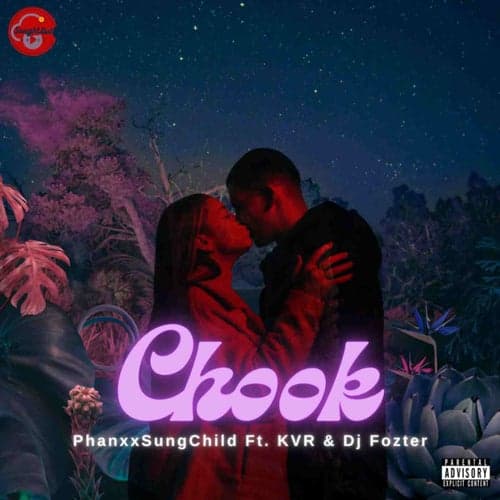 Chook (feat. KVR & DJ Fozter)
