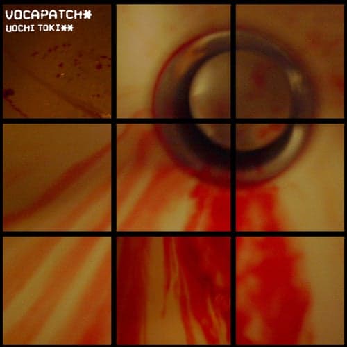 Vocapatch