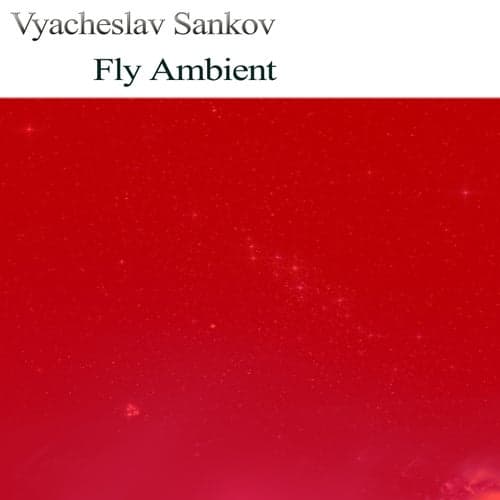 Fly Ambient
