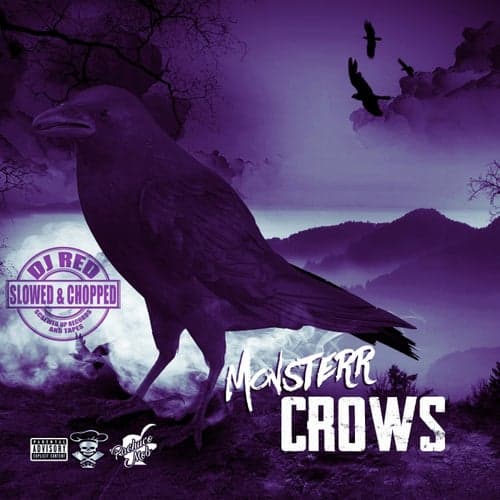 Crows (Slowed & Chopped)