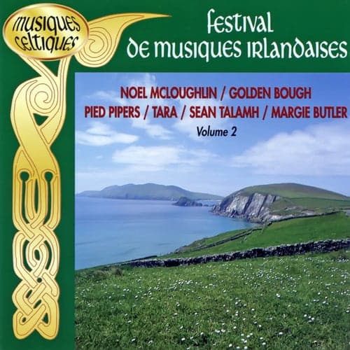 Festival De Musiques Irlandaises Vol. 2 (Musiques Celtiques)